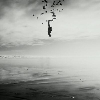 河北房产网截图